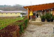 Traumhafte Gastroliegenschaft in der Wachau am Fuße einer Ruine***Donauterrasse***perfekt für Edelgastronomie oder Gourmettempel