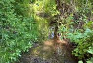 WOHNEN IM NATURPARADIES AM WALDRAND MIT MÖGLICHKEIT AUF ZWEI WOHNEINHEITEN - BESTE FERIEN- ODER ZWEITWOHNSITZEIGNUNG MIT KLEINEM BACH, OBSTBÄUMEN &amp; WALD - NICHT VOM HOCHWASSER BETROFFEN