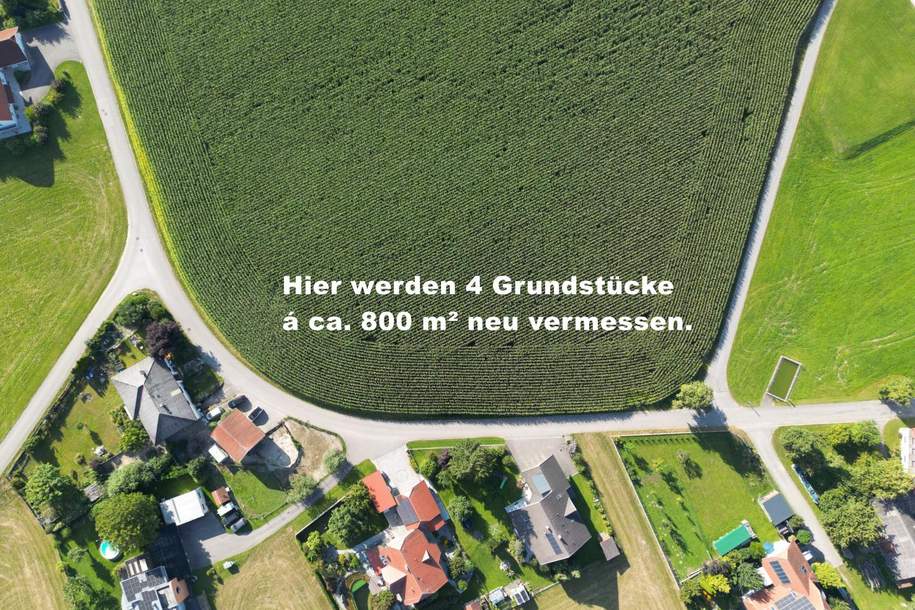 Neu vermessene Grundstücke in Breitenried, Grund und Boden-kauf, 64.000,€, 4753 Ried im Innkreis