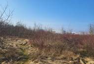 Gewerbegrundstück Wels, eingeschränkt gemischtes Baugebiet