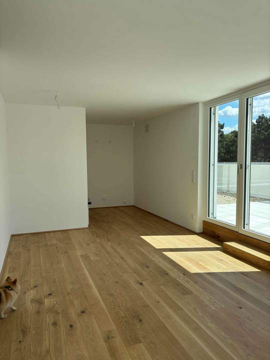 Fertiggestellt! Top 21_Sonnige Dachgeschosswohnung mit großer Terrasse in Strebersdorf_EDMUND