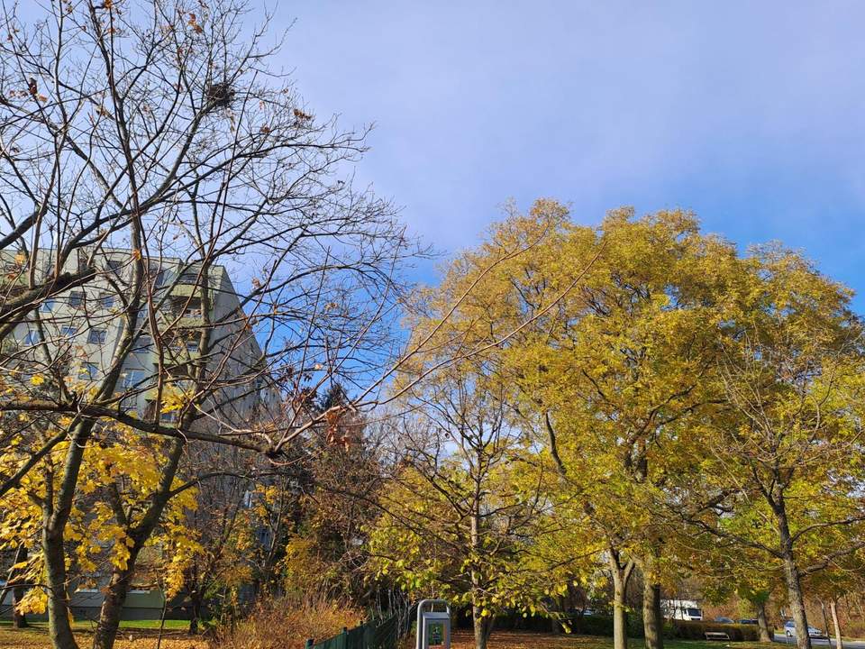 GEPFLEGTE 2-ZIMMER-WOHNUNG MIT LOGGIA &amp; SCHÖNEM AUSBLICK - SEHR GUTE INFRASTRUKTUR