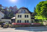 Außergewöhnliche Villa in absolut ruhiger Waldrandlage I Rund um Natur pur nahe Lainzer Tiergarten I Ausbauen+sanieren