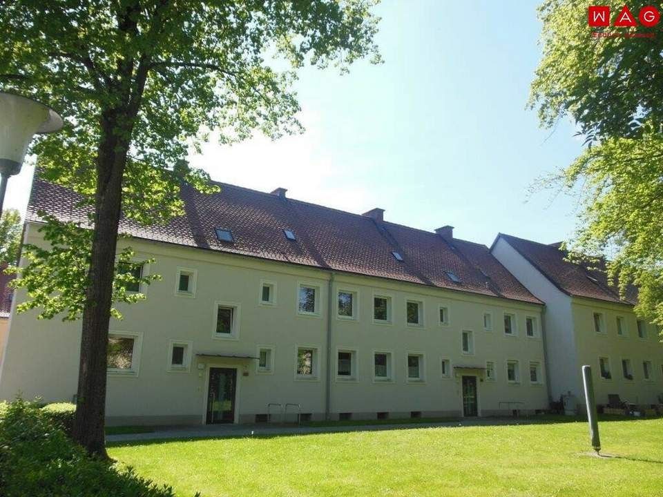 Stadtliebhaber aufgepasst: Urbanes Wohnen mit Top-Infrastruktur in naturnahem Umfeld! Saniert, preiswert und sofort verfügbar!