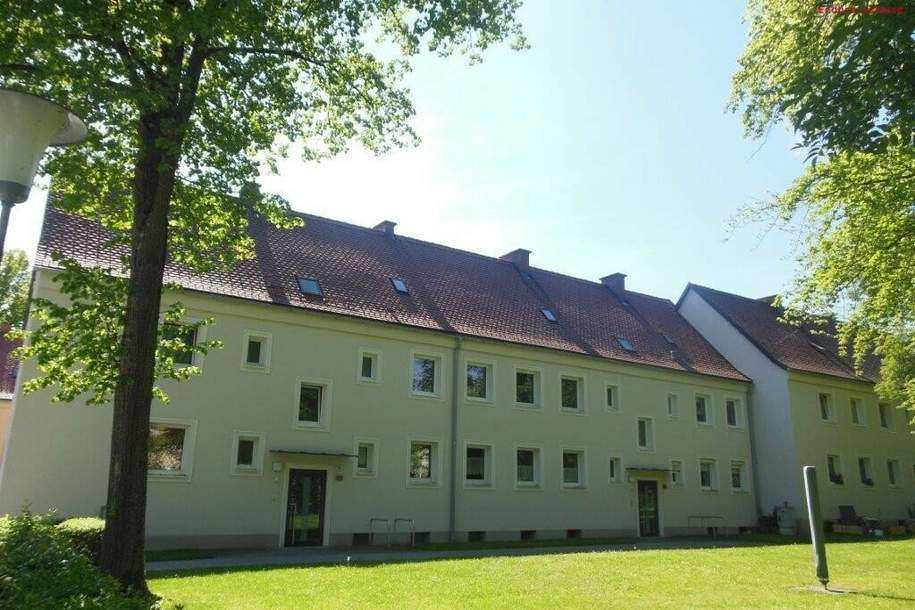 Stadtliebhaber aufgepasst: Urbanes Wohnen mit Top-Infrastruktur in naturnahem Umfeld! Saniert, preiswert und sofort verfügbar!, Wohnung-miete, 442,95,€, 4400 Steyr(Stadt)