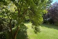 Sanierte großzügige und lichtdurchflutete Bürofläche mit Blick ins Grüne - rd. 174 m2, 5 Zimmer, 2 WCs und rd. 29 m2 klimatisierter Wintergarten in Wien-Liesing