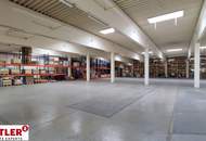 Halle in tolle Lage