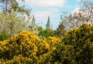 Bauhausvilla in zentraler Grinzinger Bestlage