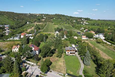 Traumhafter Baugrund am Fuße des Bisambergs, Grund und Boden-kauf, 950.000,€, 1210 Wien 21., Floridsdorf