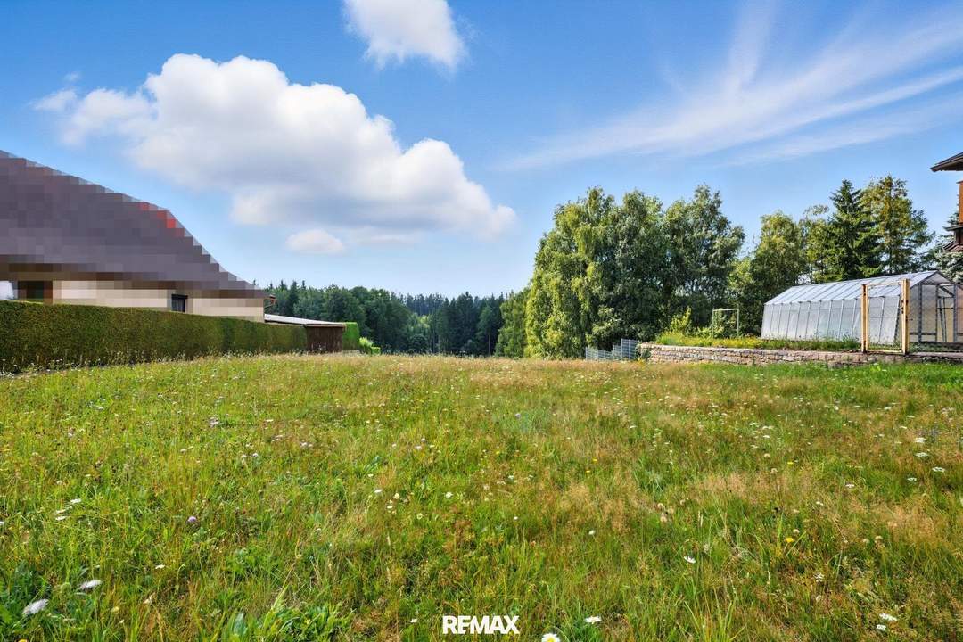 Großzügiges Baugrundstück im Waldviertel – Bauen Sie sich Ihr eigenes Wohnparadies!