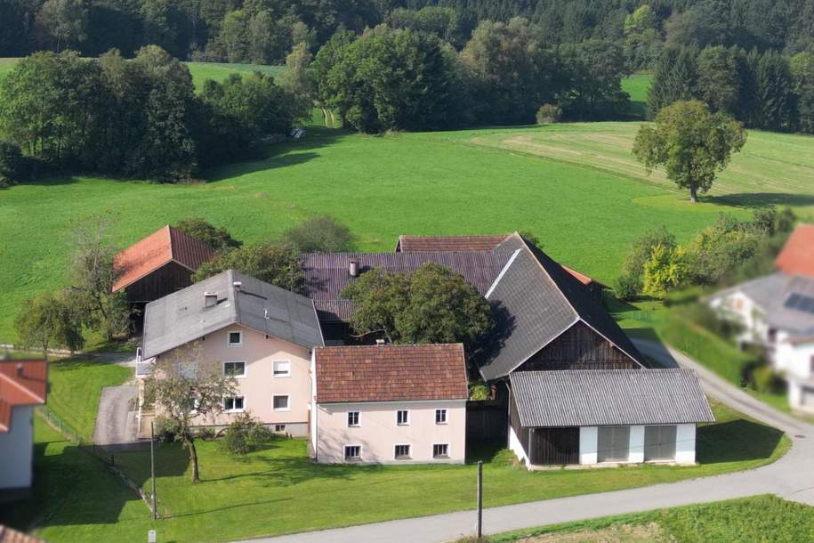Bauernhof im Sauwald, Haus-kauf, 680.000,€, 4794 Schärding