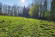 Baugrund in Ruhiger Waldrandlage