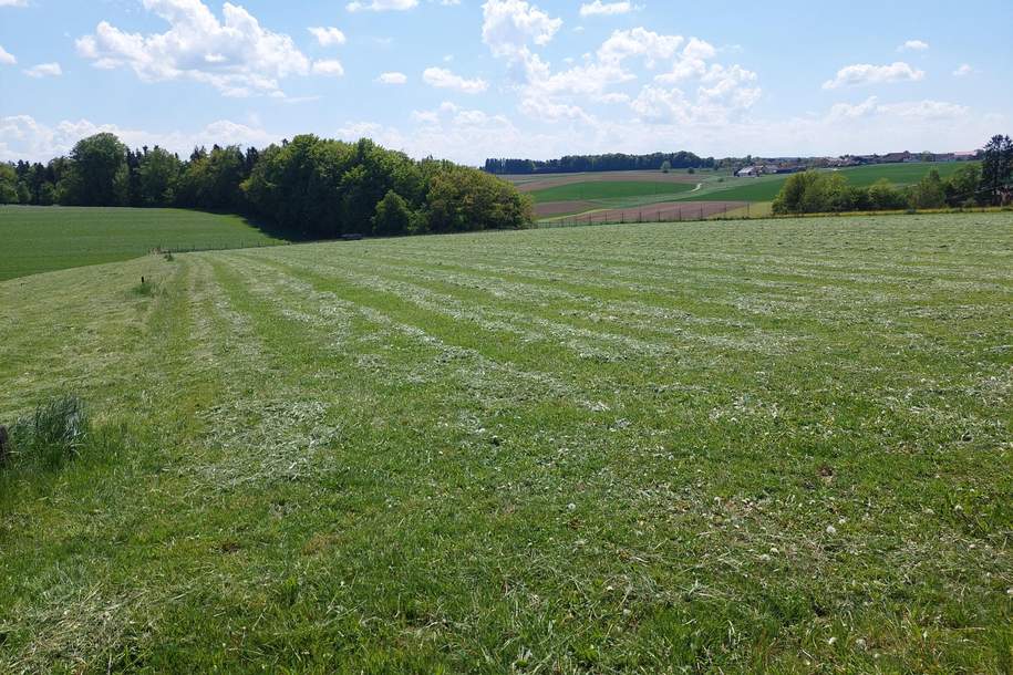 landwirtschaftlicher Grund mit guter Anbindung, Grund und Boden-kauf, 73.500,€, 5261 Braunau am Inn