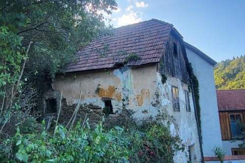 NEUER PREIS **Märchenhaft** großes Grundstück mit grandiosen Ausblick auf die Burgruine Rehberg in 3500 Krems an der Donau, Grund und Boden-kauf, 135.000,€, 3500 Krems an der Donau(Stadt)