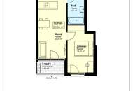 Sehr sonnige neue Top-Wohnung nahe der Alten Donau