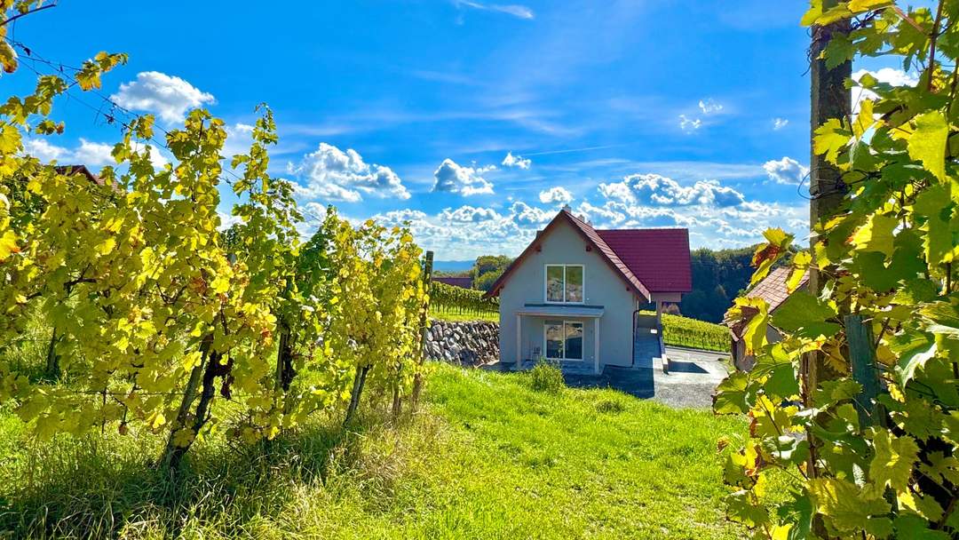 Barrierefreie 3-Zimmer Wohnung mit Terrasse inmitten der Weinberge von Klöch - Erstbezug!