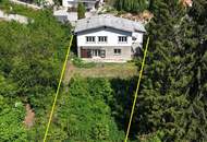 Rarität // Südhang // Bach // Biotop // absolute Ruhelage an der Waldgrenze