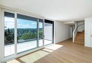 Dacherstbezug mit spektakulärem Wienblick, Terrassen & Dachterrasse in "WOLKE sieben"