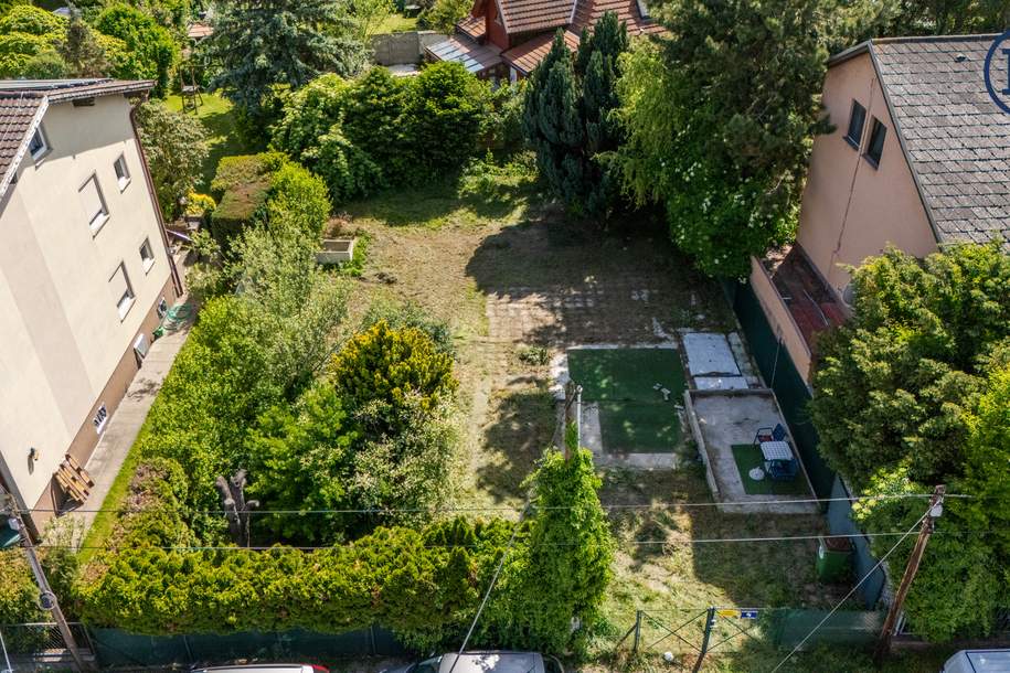 Ein Ort zum Wurzeln schlagen – Raum für Leben, Lachen und Zukunft, Grund und Boden-kauf, 1220 Wien 22., Donaustadt