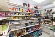 Hochwertig ausgestatte Vorstadtvilla auf 745m² Eigengrund-Personenaufzug-Klimaanlage-Notstromaggregat! Viele weitere Extras!