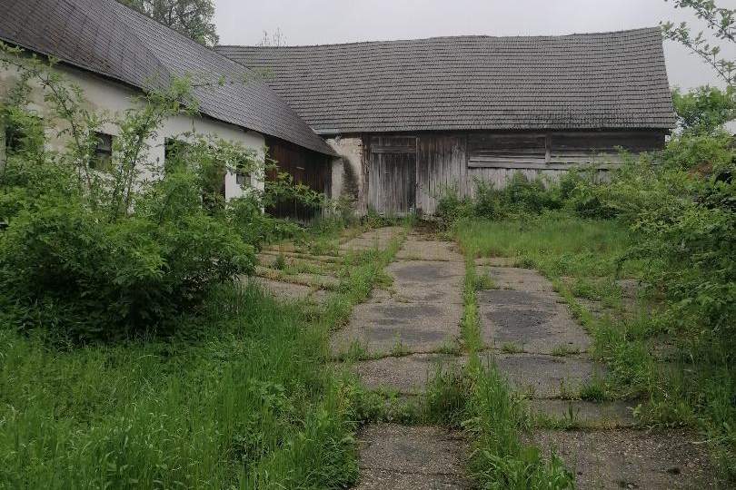 Bauernhof mit Garten ca. 4165 m² - südliches Waldviertel, Gewerbeobjekt-kauf, 3610 Krems(Land)