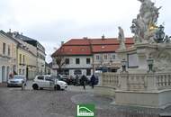 Geschäftsfläche beim Freiheitsplatz - SEHR GUTE FREQUENZ. - WOHNTRAUM