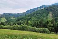 Forst und Jagdgebiet im Bezirk Wolfsberg