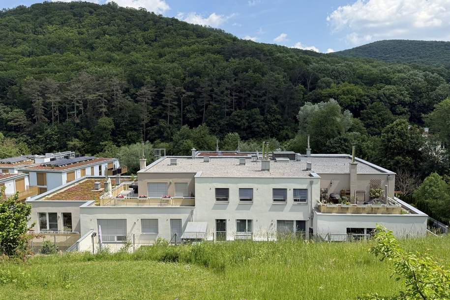 Wunderschöne Eigentumswohnung mit Terrasse und tollem Garten in herrlicher Grünruhelage, Wohnung-kauf, 625.000,€, 3002 Sankt Pölten(Land)