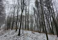 Waldgrundstück
