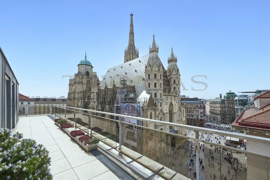 Premium-Lage im Herzen Wiens, Wohnung-miete, 7.580,00,€, 1010 Wien 1., Innere Stadt