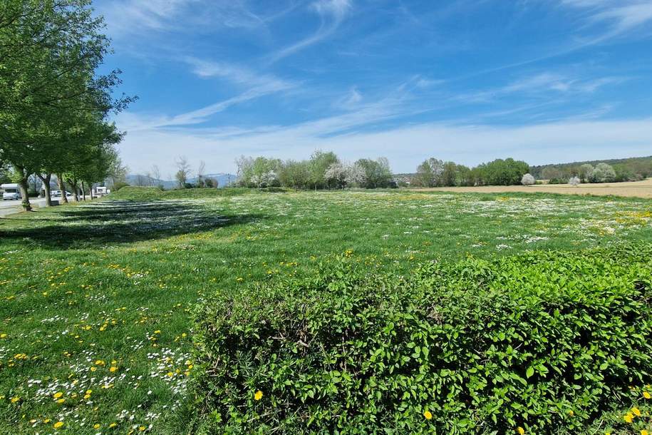 Grundstück für Sport oder Camping direkt neben dem See und Freizeitpark, Grund und Boden-kauf, 590.000,€, 8265 Hartberg-Fürstenfeld