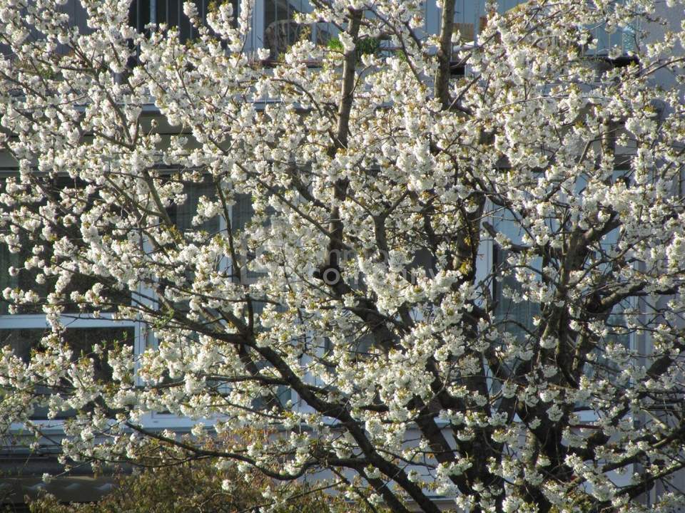 Schöne und große Wohnung. - Sonnig, tolle Aussicht !