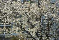 Schöne und große Wohnung. - Sonnig, tolle Aussicht !