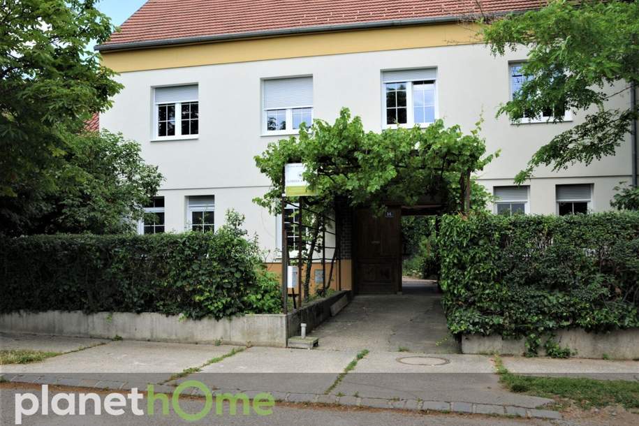 Ein individuelles Haus mit unendlichen Möglichkeiten - Vermietung und Eigennnutzung, Haus-kauf, 750.000,€, 7122 Neusiedl am See