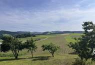 Sofort bezugsbereites, großzügiges Wohnhaus mit Fernblick und großem Garten