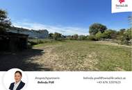 Gols | Baugrundstück in Top-Lage | 5.000 m²