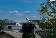 Über den Dächern von Leibnitz - Exklusives Penthouse auf zwei Ebenen mit gigantischer Panoramaterrasse und direktem Blick auf Schloss Seggau!