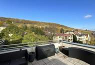 360° TOUR // LUXUS-DACHTERRASSEN-WOHNUNG mit FERNBLICK