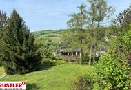 Grundstück mit Altbestand mit Blick auf die Weinberge