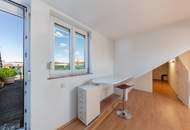 Dachterrassenwohnung Reichsbrücke-Alte Donau-UNO-City