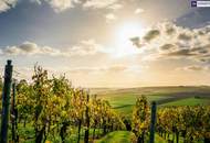 Exklusiv! Besondere Anwesen in der wunderschönen Südsteiermark – Ihr Rückzugsort mit Charme, Komfort und einen unvergleichbarem Flair!