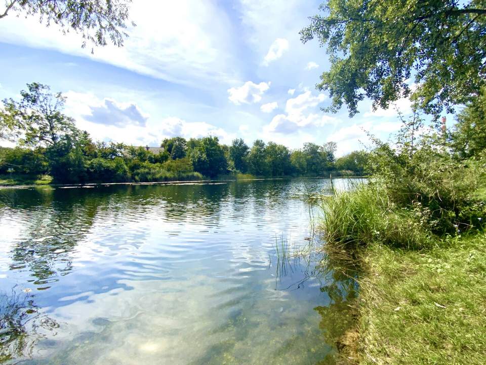 DIREKT AM OBEREN MÜHLWASSER!: KLIMATISIERT I Gemeinschaftsgarten I ERSTBEZUG Maisonette-Dachgeschosswohnung I Neubauprojekt I Lift I Garagenstellplatz