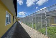 Schlossanwesen mit über 10 ha Grund, mit bestehenden Stallungen, Gehegeflächen und Infrastruktur für Tierhaltung- ideal für Käufer mit Platzbedarf, Tiere und Naturbezug!