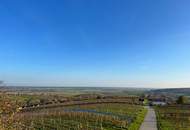 WEINIDYLLE SÜDBURGENLAND - Weinkeller im schönen, sonnigen Eisenberg