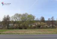 Großzügiges Baugrundstück statt Sparbuch - teilbar - zwei Straßenzufahrten - KEIN Bauzwang!