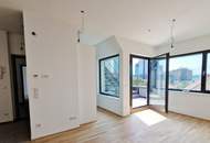 Extravagant - Dachterrasse - Wienblick