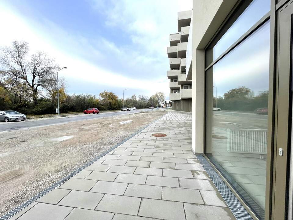 Leo am Teich - Wohnen am Badeteich Hirschstetten