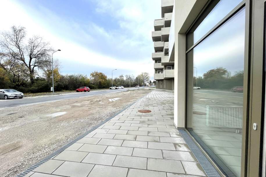 Leo am Teich - Wohnen am Badeteich Hirschstetten, Gewerbeobjekt-miete, 5.481,61,€, 1220 Wien 22., Donaustadt