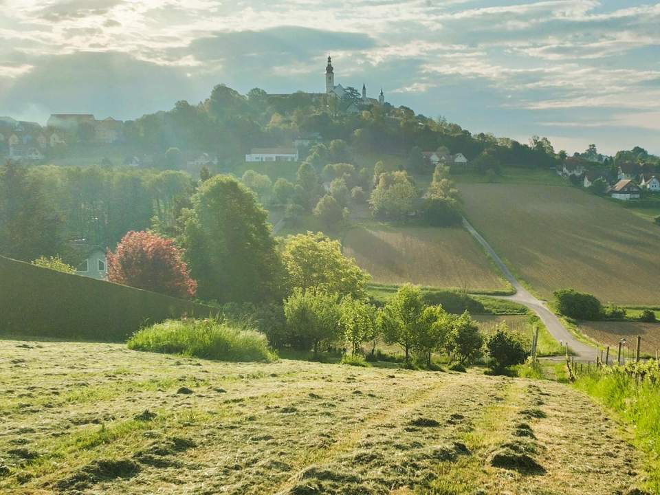 2 ERSCHLOSSSENE BAUGRÜNDE MIT OBSTBAUMBESTAND UND WEINREBEN IN DER SÜDOSTSTEIERMARK