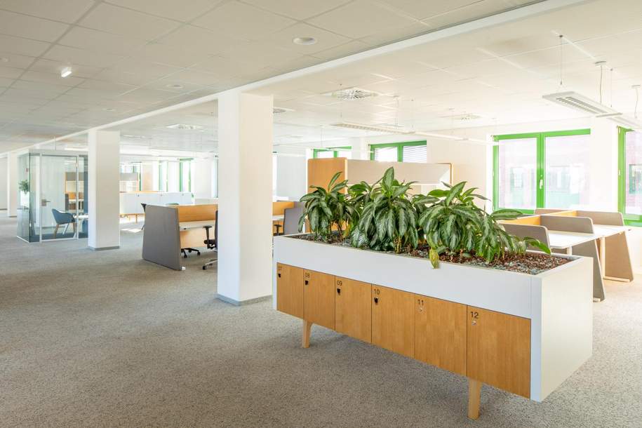 Großraumbüro, Gewerbeobjekt-miete, 7.449,15,€, 1220 Wien 22., Donaustadt